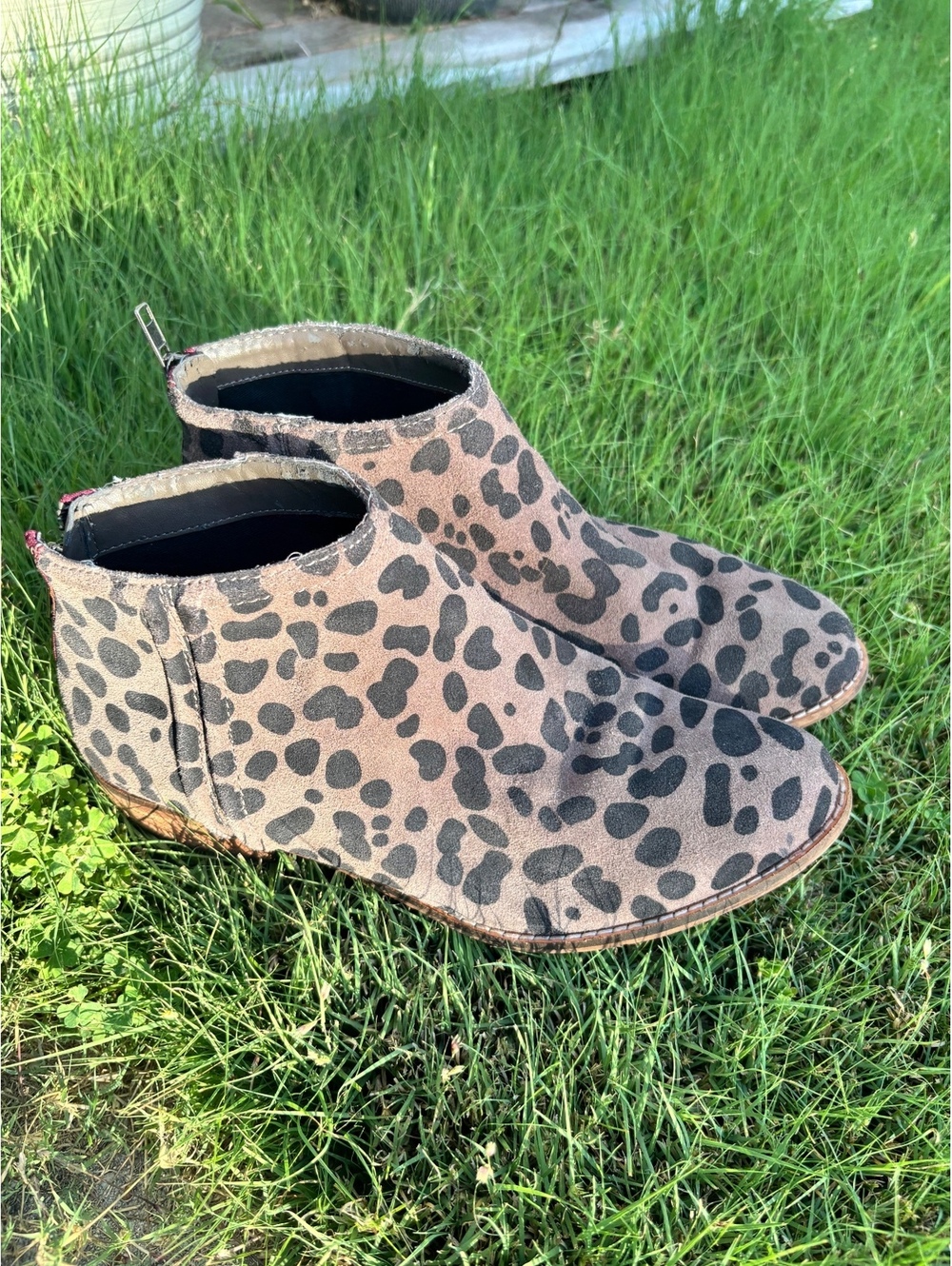 dv by Dolce Vita Leopard Print Ankle Boots Size 8.5